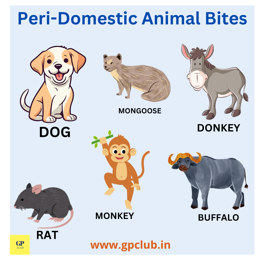 Peri-Domestic Animal Bites